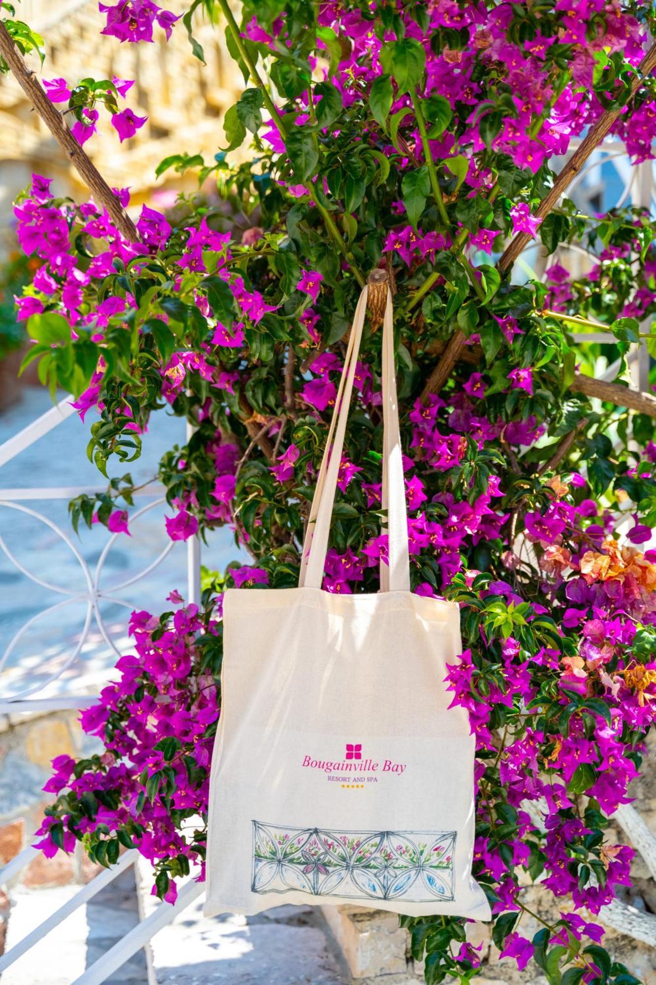 Bougainville Bay Hotel Sarandë 외부 사진 A tote bag